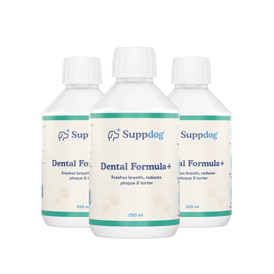 Dental Formula+