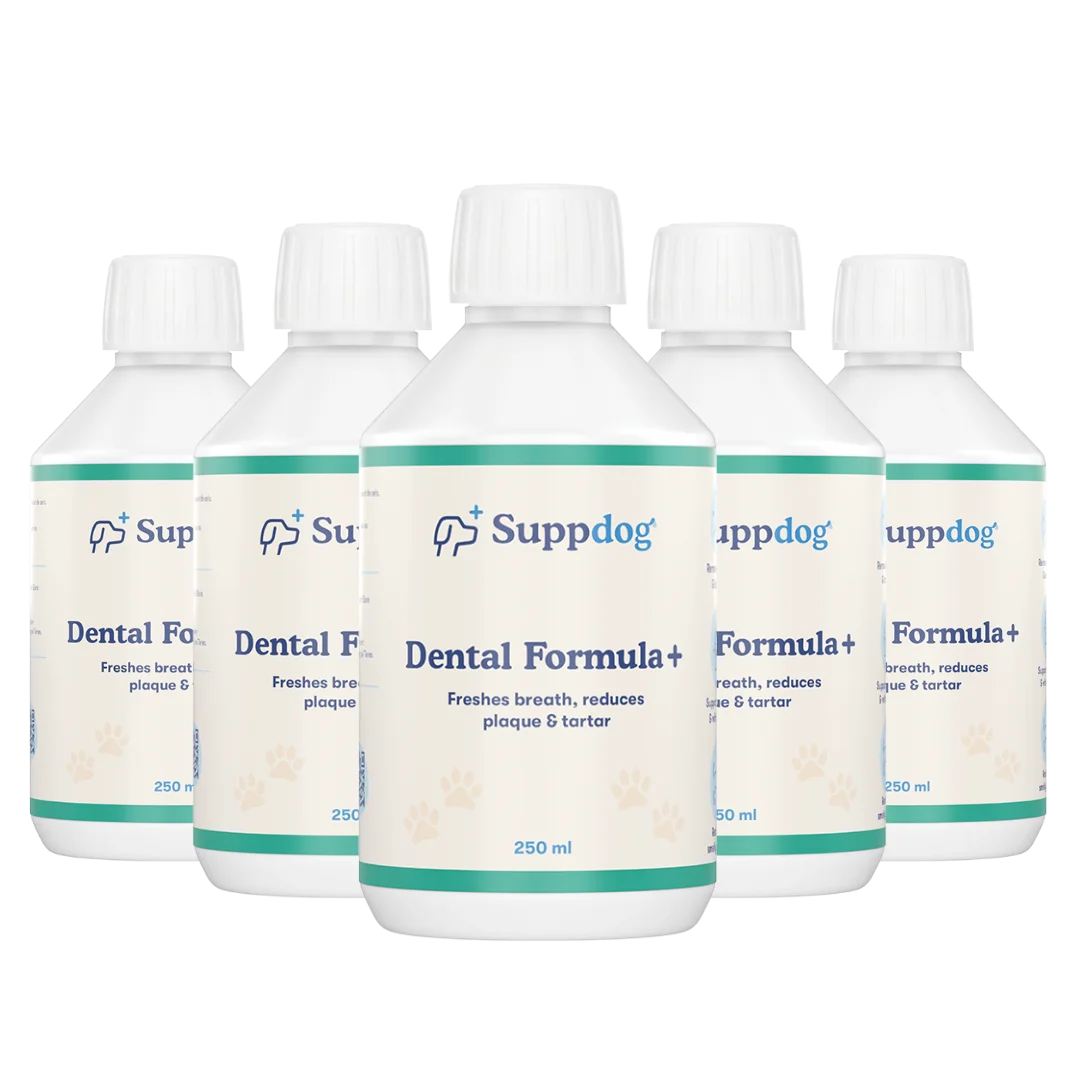 Dental Formula+