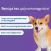 De voordelen van probiotica voor honden naast een corgi afgebeeld