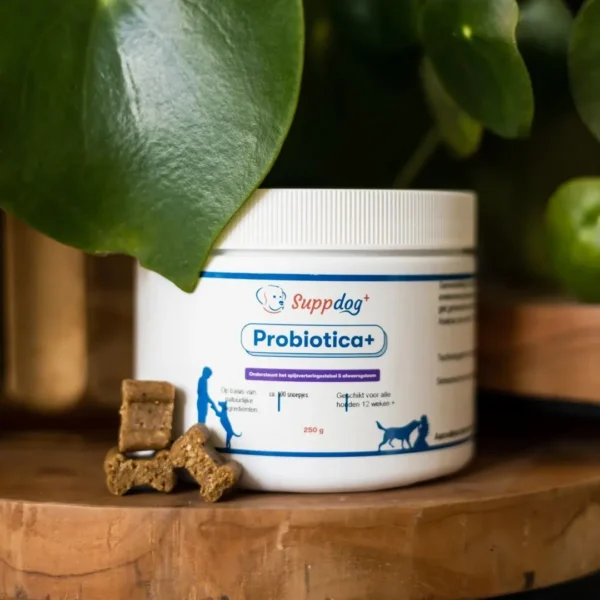 Probiotica darmsnoepjes voor je hond Probiotica voor honden in een pot van het merk Suppdog