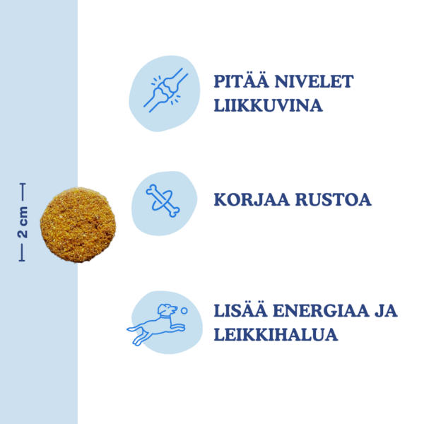 (Finnish) (Deens) Grootte - Snoepje + Benefits - Joint Care (Finnish) (Deens) Grootte - Snoepje + Benefits - Joint Care