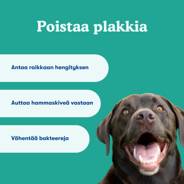 (Finnish) (Deens) (1) (Finnish) (Deens) (1)