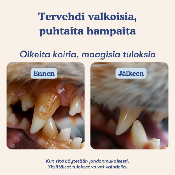 (Finnish) (Danish) (13) (Finnish) (Danish) (13)