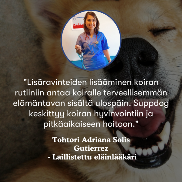 (Finnish) (Danish) (17) (Finnish) (Danish) (17)