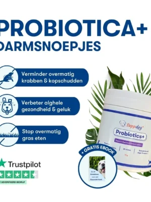 Probiotica voor honden in een pot van het merk Suppdog met gratis ebook sticker