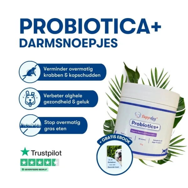 Probiotica voor honden in een pot van het merk Suppdog met gratis ebook sticker