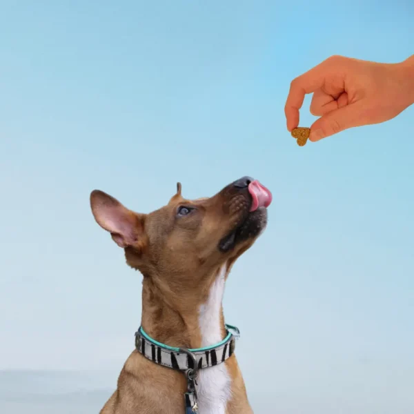 (Danish) (5) (Danish) (5)