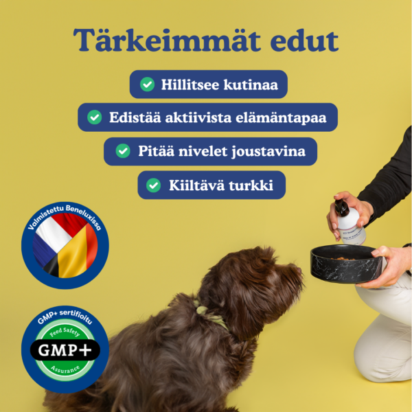 (Finnish) (Danish) (1) (Finnish) (Danish) (1)