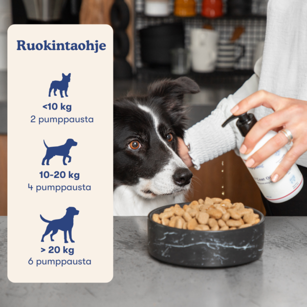 (Finnish) (Danish) (3) (Finnish) (Danish) (3)