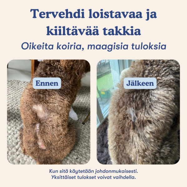 (Finnish) (Danish) (4) (Finnish) (Danish) (4)