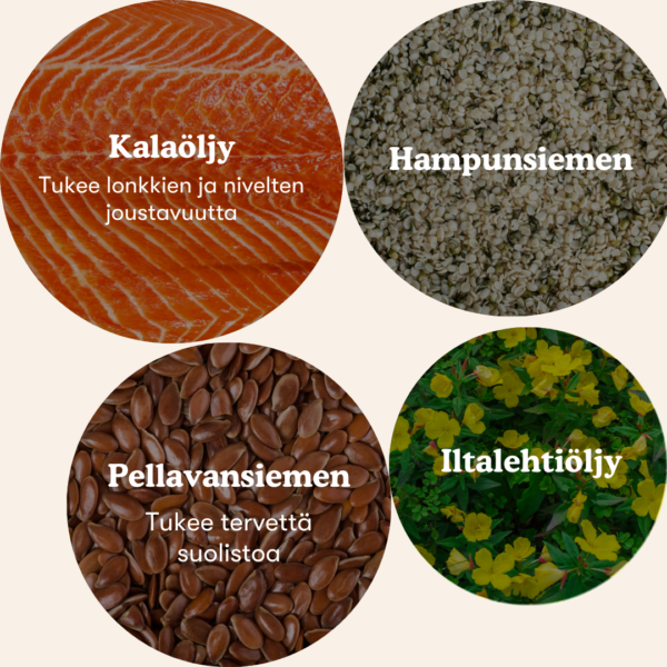 (Finnish) (Danish) (5) (Finnish) (Danish) (5)